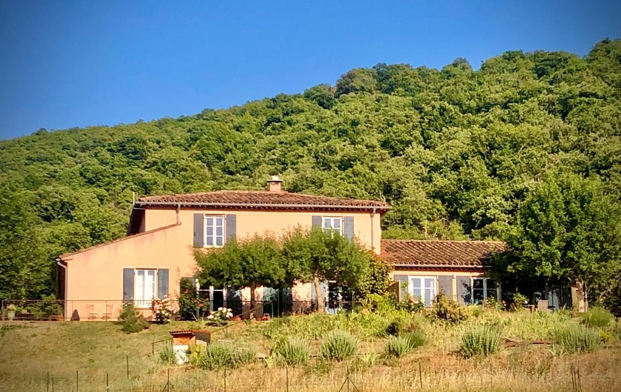 Domaine De Montbarri Bed & Breakfast La Tour-sur-Orb Ngoại thất bức ảnh
